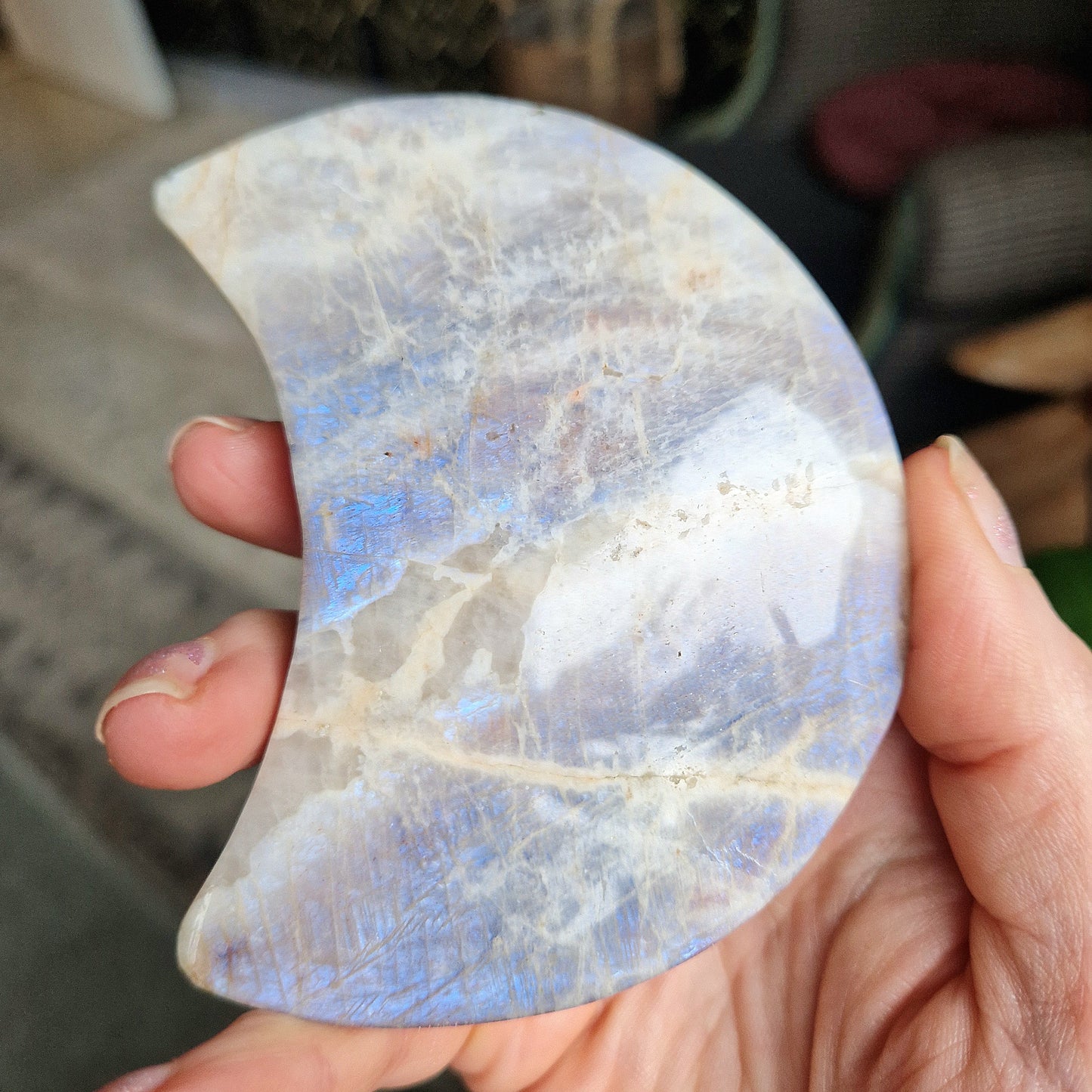 Mondsteinmond auf Standard