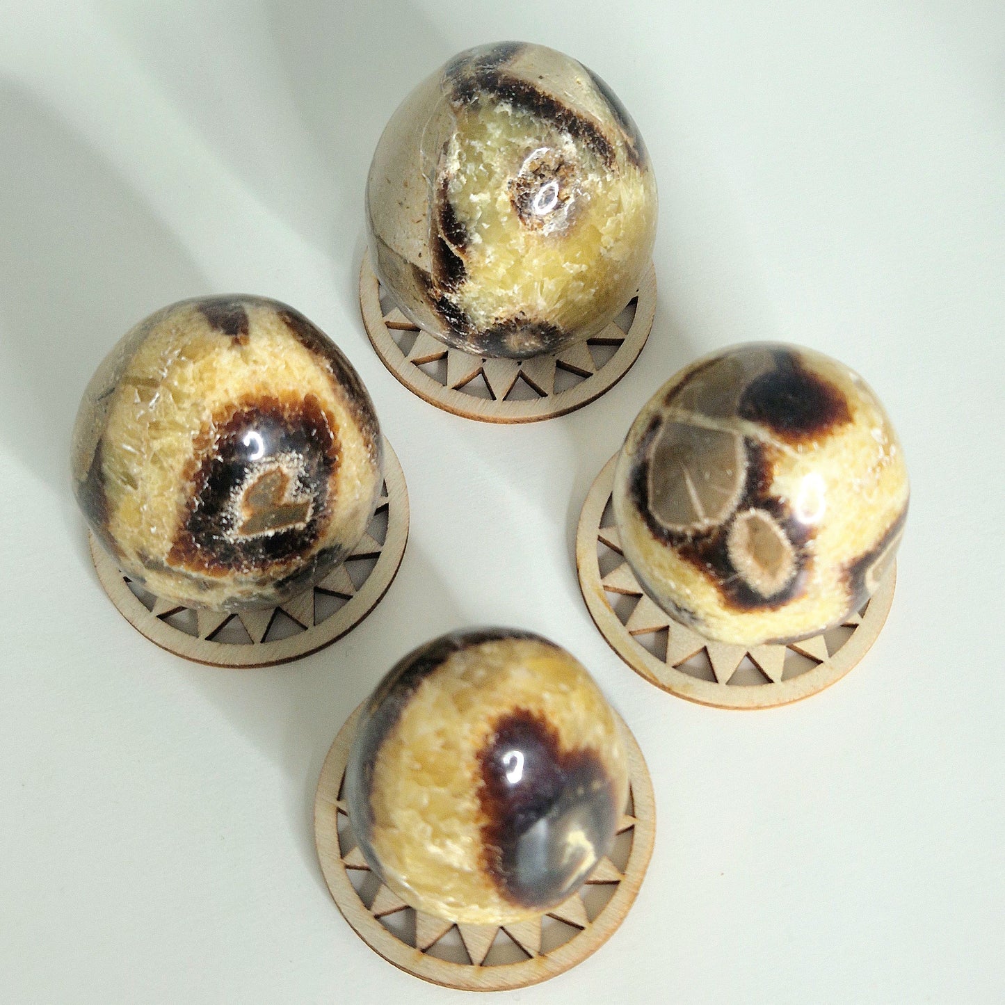 Septarian ei