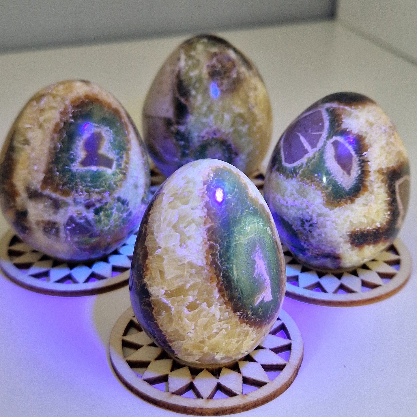 Septarian ei