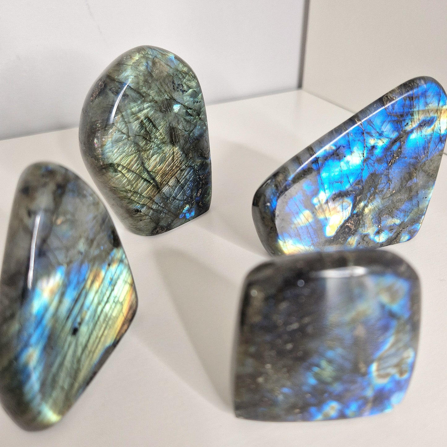 Labradoriet vrije vorm