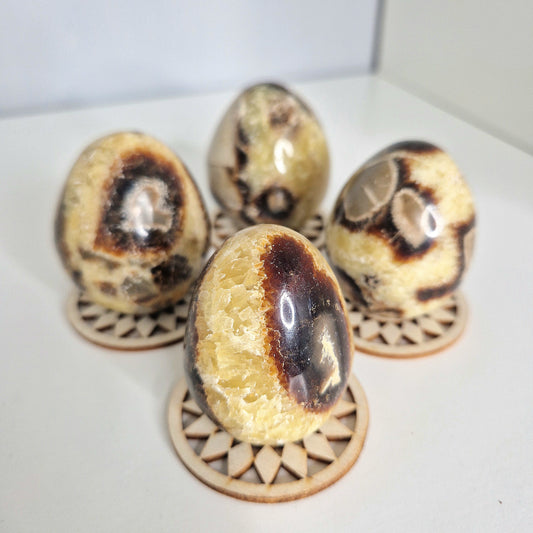 Septarian ei