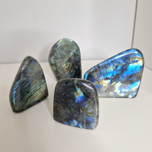 Labradoriet vrije vorm