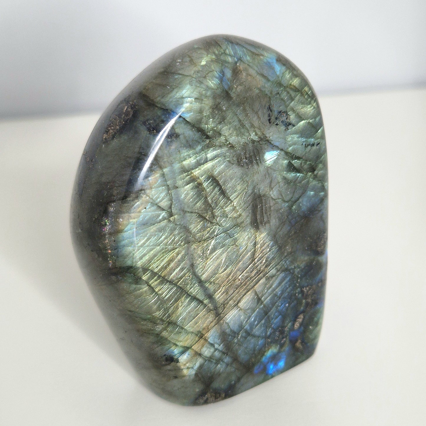 Labradoriet vrije vorm