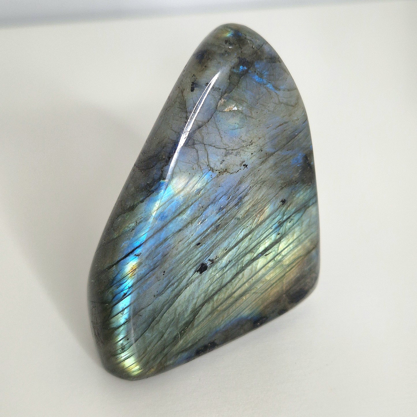 Labradoriet vrije vorm